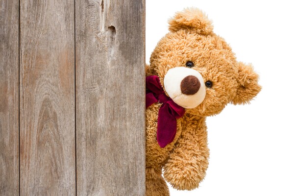 Teddybär